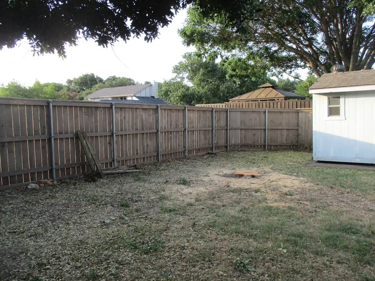 Cleared yard after professional tree removal in Great Bend